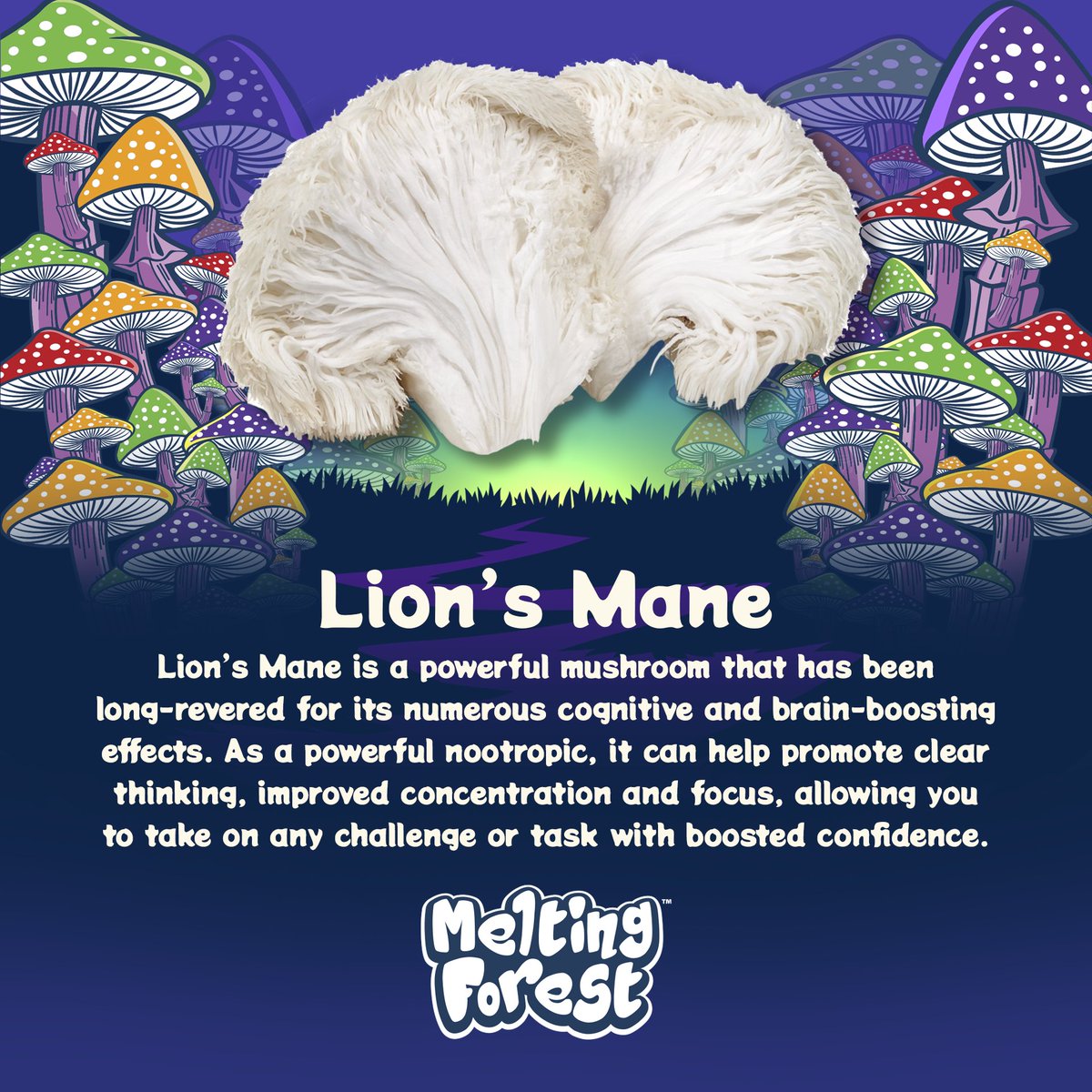 meltingforest tweet media