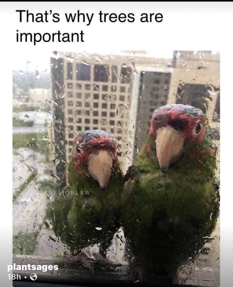 Kiri CAG (@kirithecag) on Twitter photo 