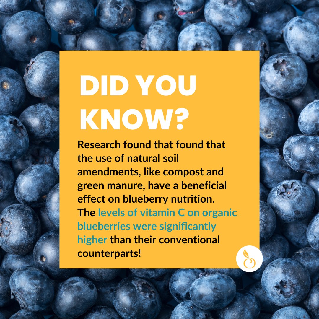 Did you know organic blueberries have greater levels of vitamin C than conventional! Get more science facts on organic at organic-center.org/research.

#OrganicBlueberry #VitaminC #HealthyEating #OrganicBenefits #Organicistheanswer