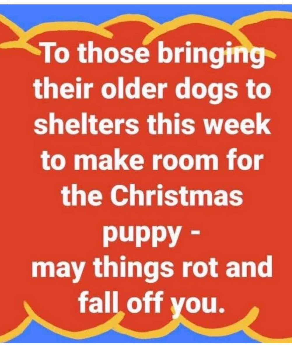 Kiri CAG (@kirithecag) on Twitter photo 