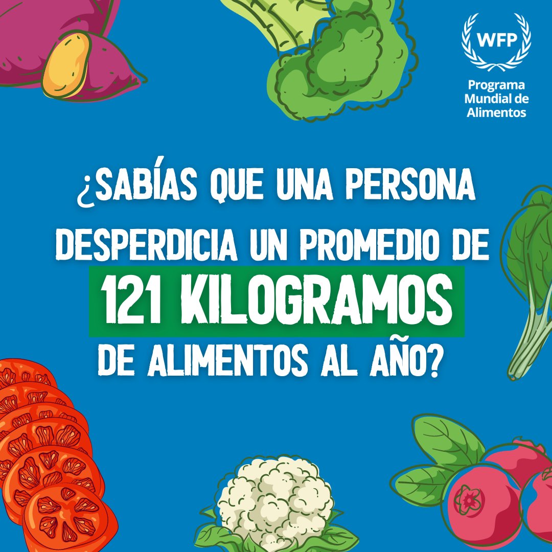 ONU_es's tweet photo. Cada día se pierden o desperdician toneladas de alimentos, mientras millones de personas se acuestan con hambre.

Reducir el desperdicio de alimentos es bueno para las personas y para el planeta. Vía @WFP_es https://t.co/3pJ8L0rr0U