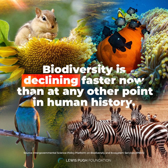 Yes, you read that right... We shouldn’t have to wait for rock bottom to stop this 🐙🐝📉🚨🌍🐧

via <a href="/LewisPughFDN/">Lewis Pugh Foundation</a>