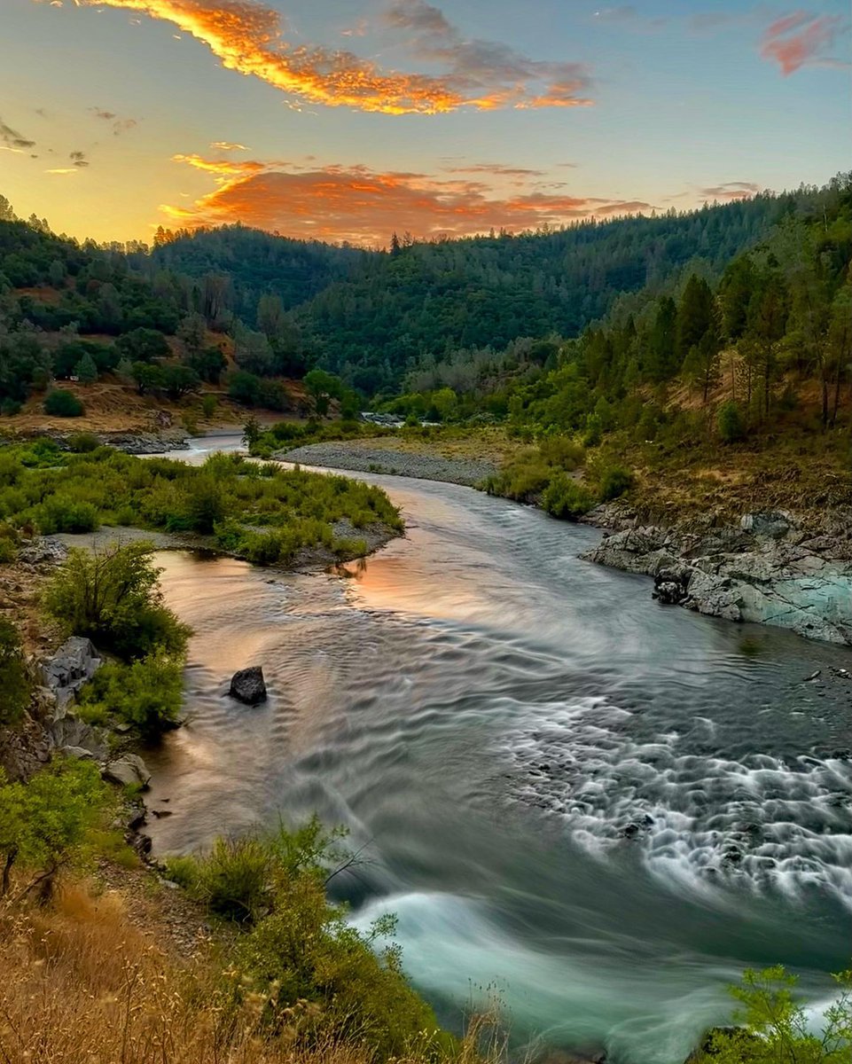 Visit California tweet media