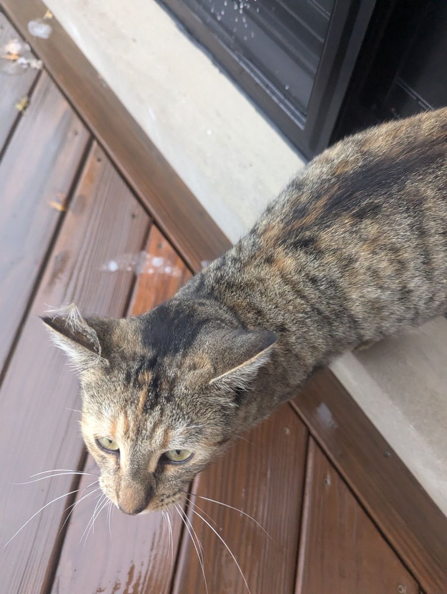 Northbrook Police Department tweet media