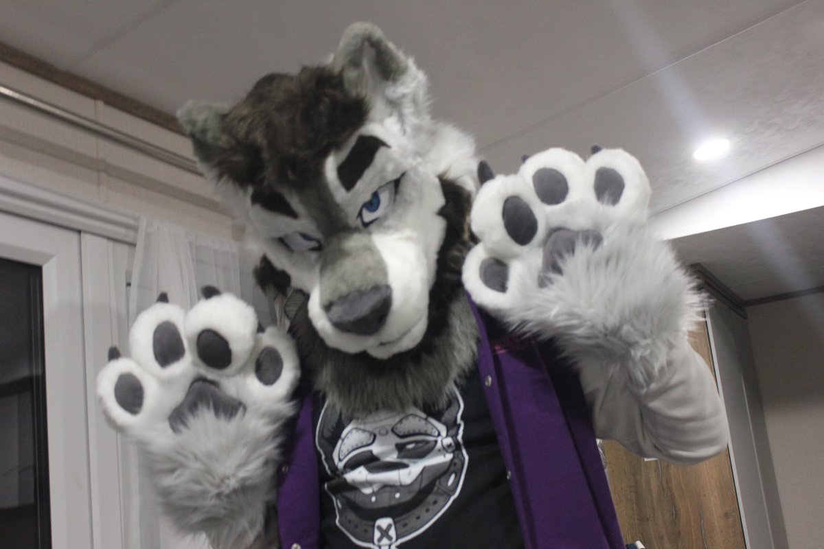 I can’t believe I get to finally do this… and what an incredible birthday present it is!

My very first #FursuitFriday aaaaaaa 🥰🥰🥰

📸: @Whiskey_AD_ 

#BirthdayPup #Furry #Fursuit #Furcation2024