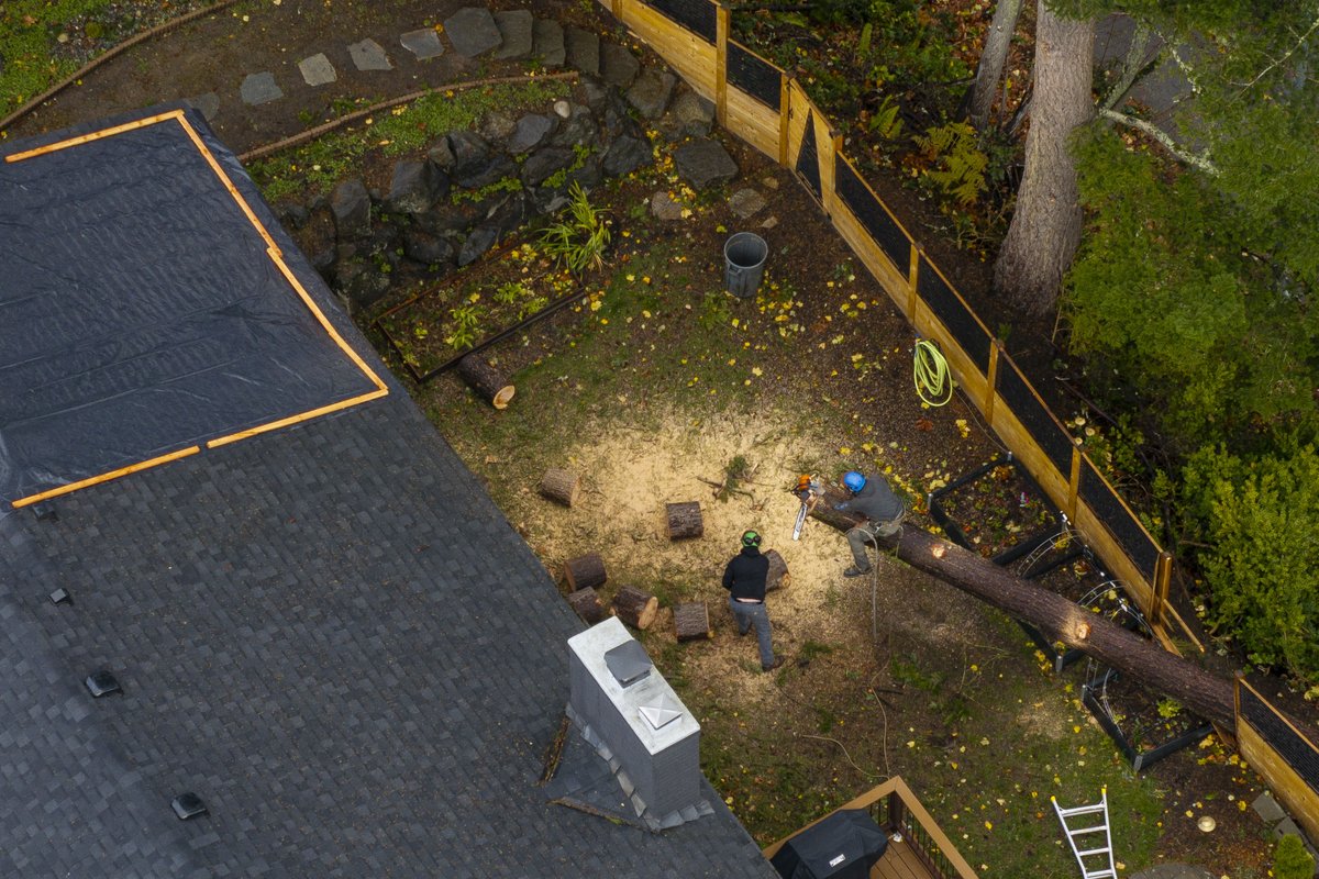 David Ryder tweet media