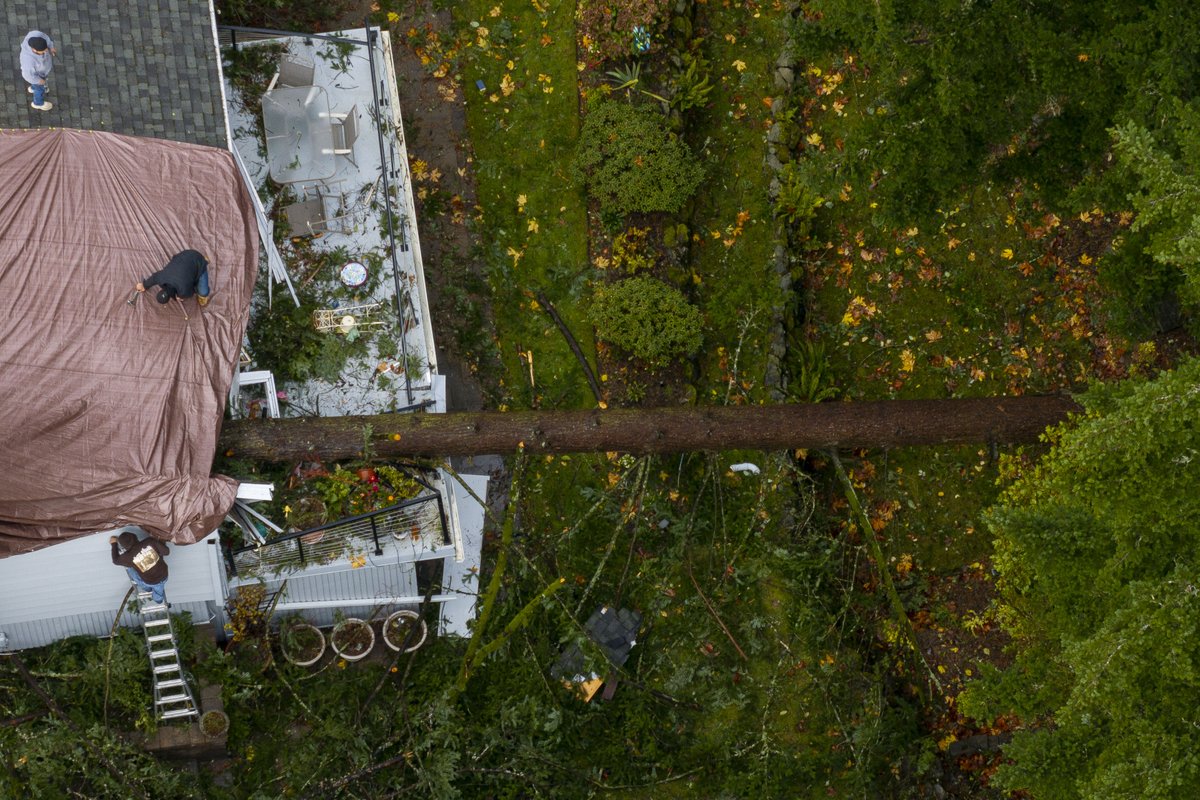 David Ryder tweet media