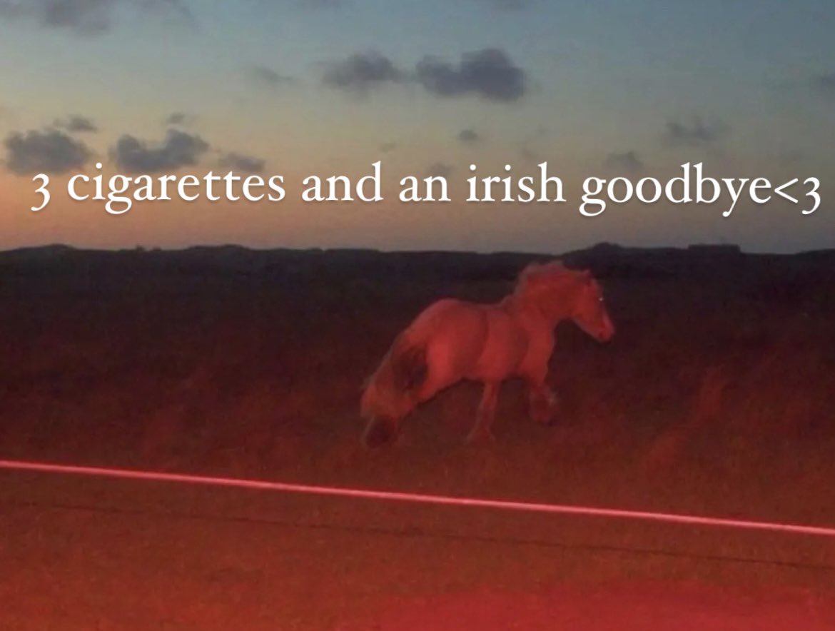 lee (@puppy0nline) on Twitter photo 