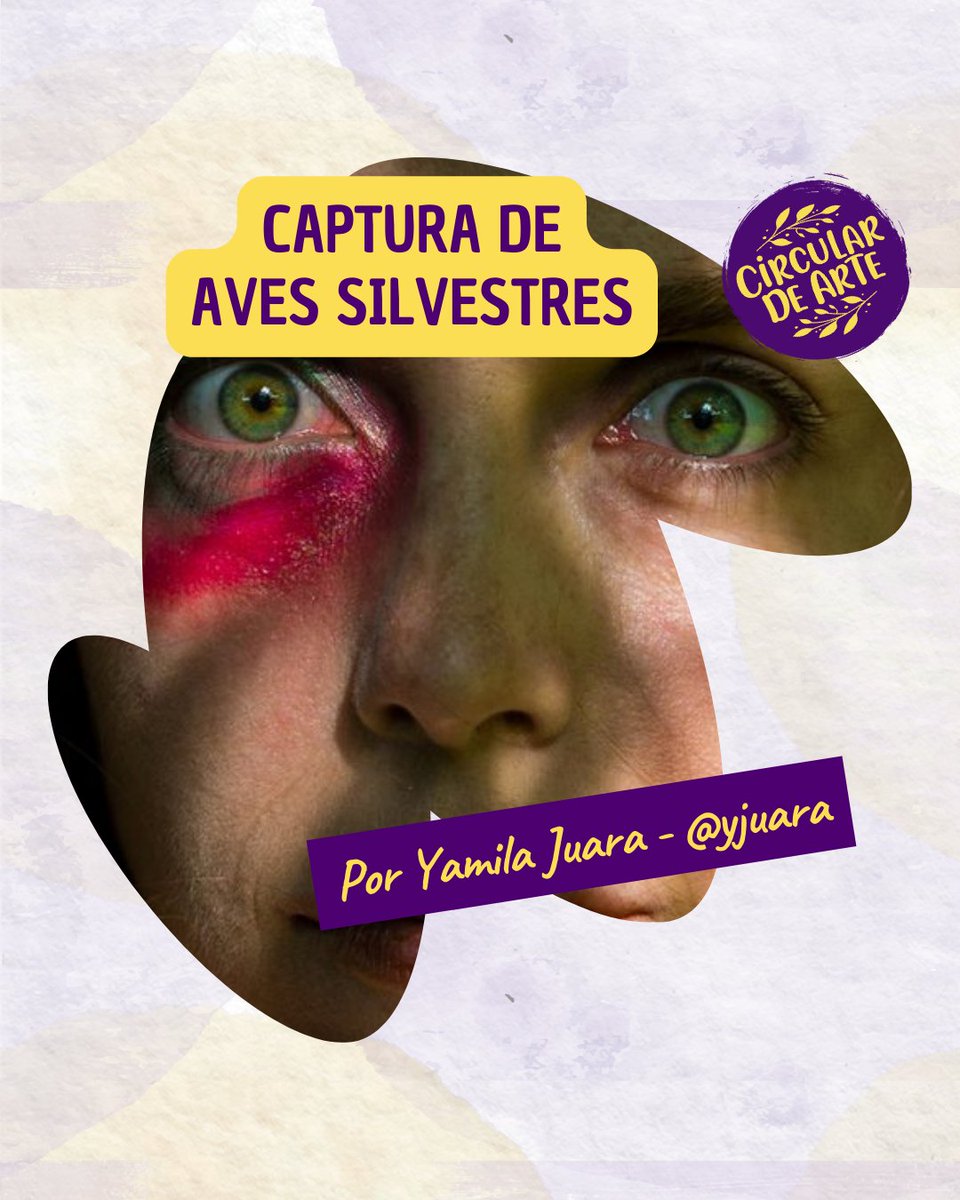 ✨ CAPTURA DE AVES SILVESTRES
📱 @grupobasamenta
🗓️ Domingos - 20:30 hs (última función 8/12)
🎭 TEATRO EL ANFITRIÓN
📍 Venezuela 3340

circulardearte.com/nota/536/captu…
