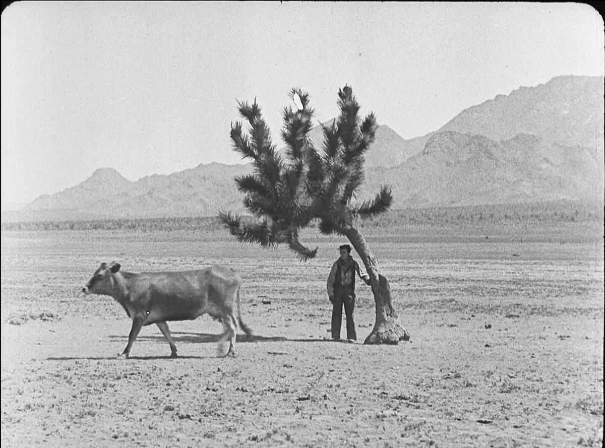 §ergi páez 🍉 tweet media