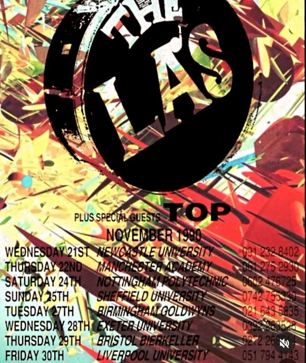 Shiiine On tweet media