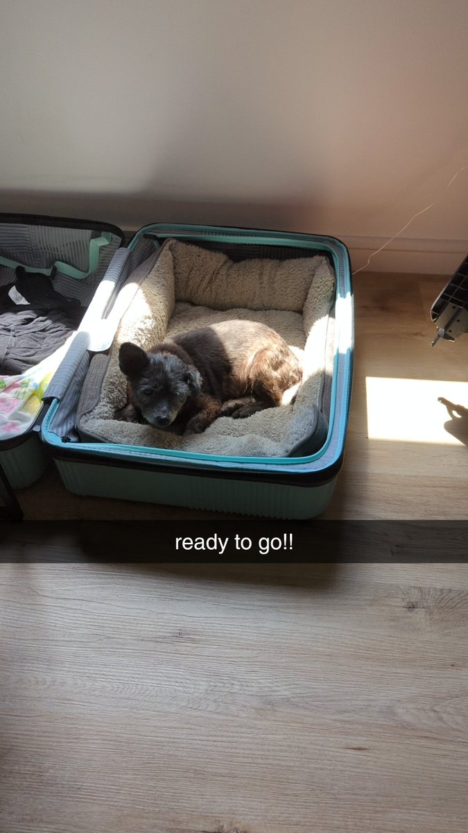 spookiino's tweet photo. goig on an  ADVENTUER https://t.co/mggCC3N0vQ