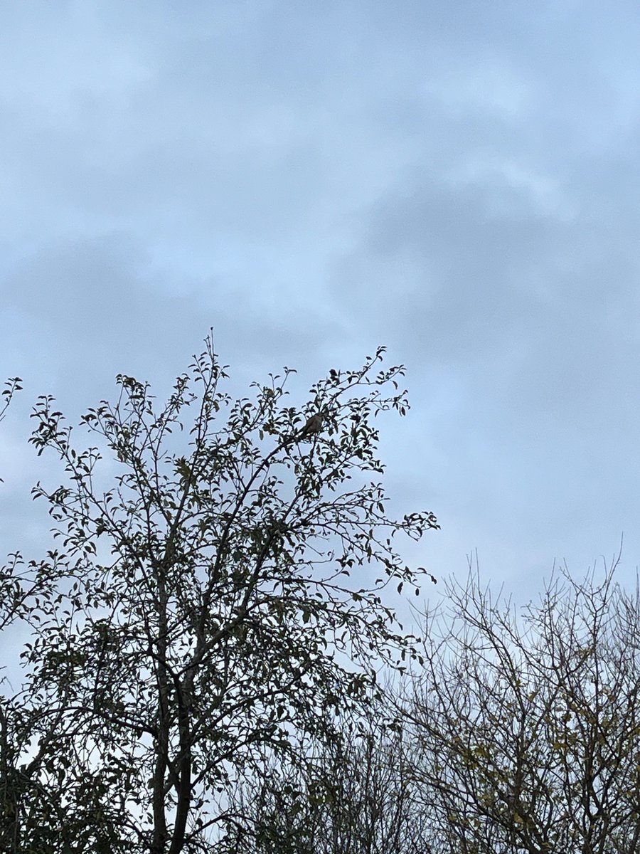 Ben Addy tweet media