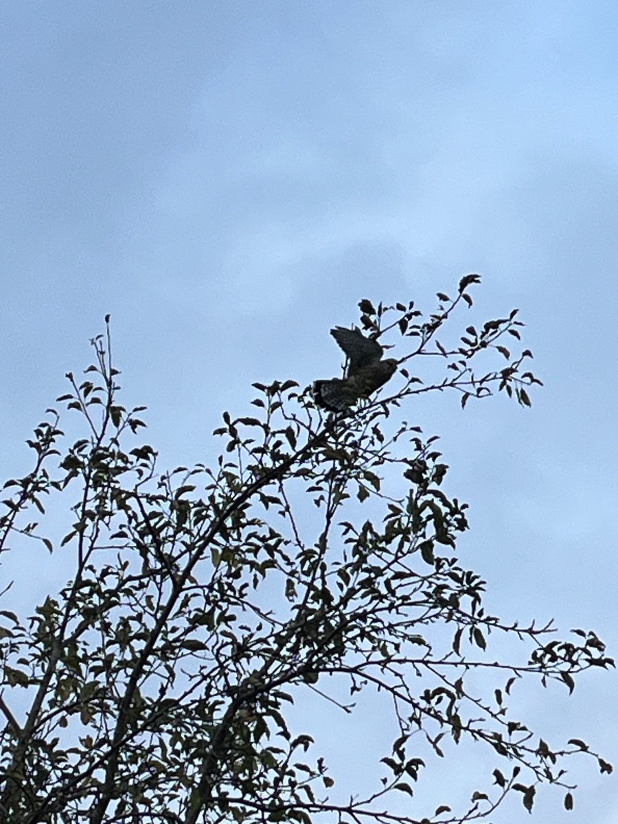 Ben Addy tweet media