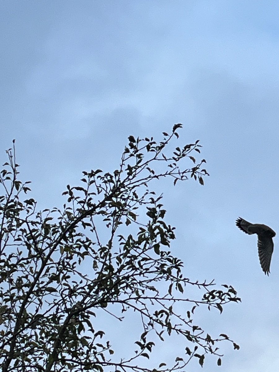 Ben Addy tweet media