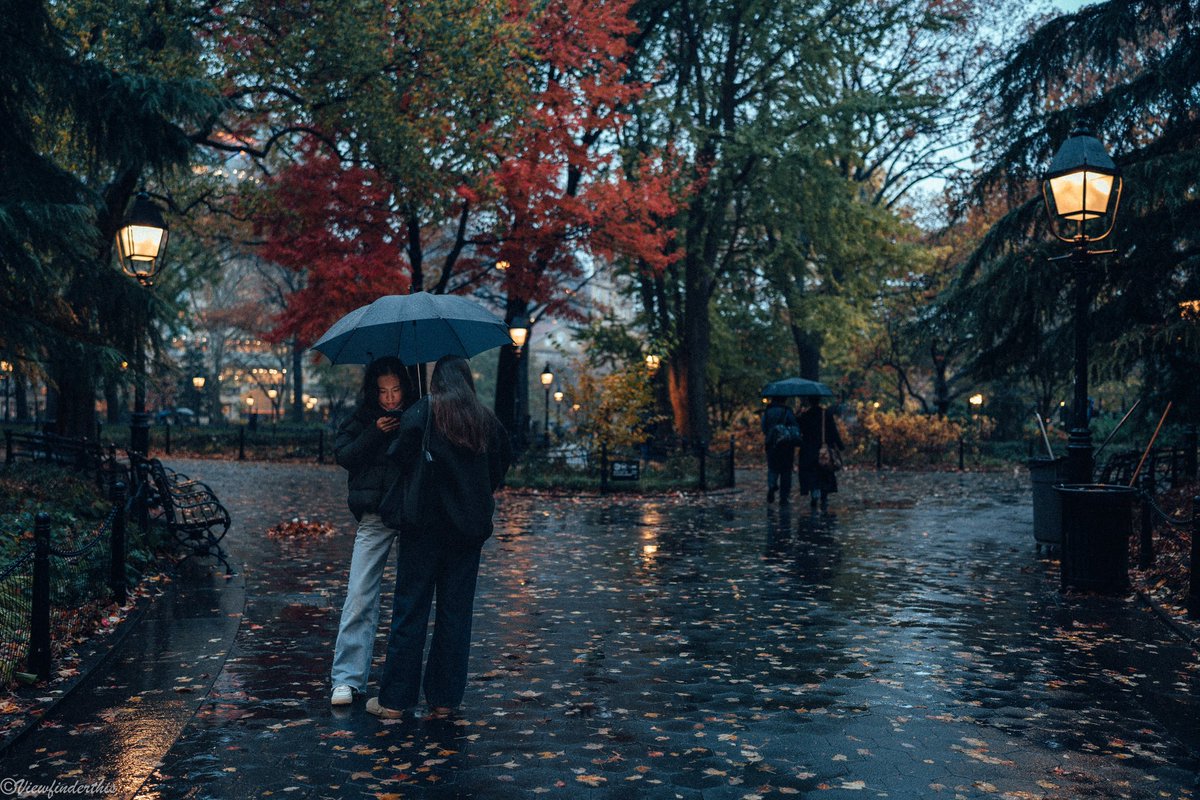 viewfinderthis's tweet photo. November in NYC https://t.co/HyEvK80r32