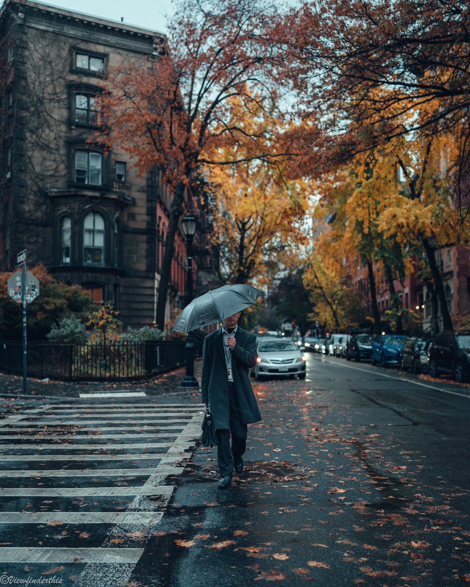 viewfinderthis's tweet photo. November in NYC https://t.co/HyEvK80r32