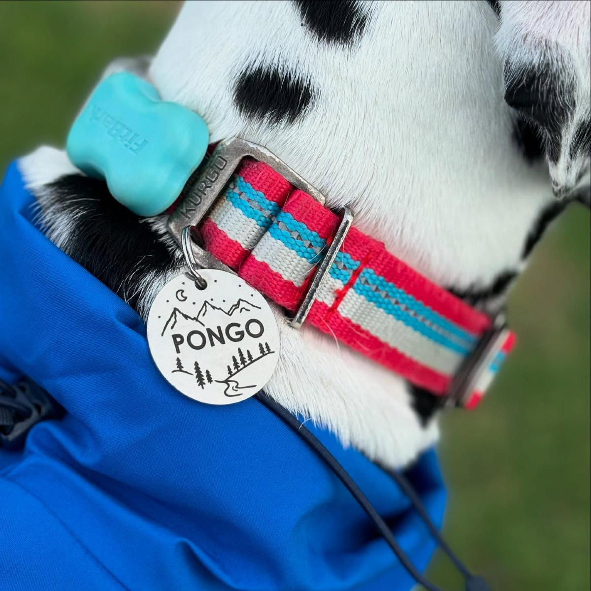 FitBark (@fitbark) on Twitter photo π¦οΈ π· :Β  <a href="/pongpongoo/">β¨πμΉλΉνλΉ μ€ν°λπβ¨</a> π¦οΈ π· :Β  <a href="/pongpongoo/">β¨πμΉλΉνλΉ μ€ν°λπβ¨</a>