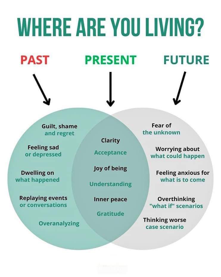 Where are you living?🧠🌱