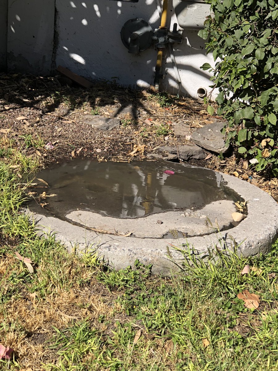 FrancoClaumx's tweet photo. Por favor den solución a un problema que llevo reportando mucho tiempo, sigue fuga de aguas negras frente a Laureles 336, Jurica. Gran riesgo de salud. ¡Atiendan! @CEAservcliente @pcmqro @vivirjurica1 @CecomJurica @aguasjurica https://t.co/vzwes2lkEM