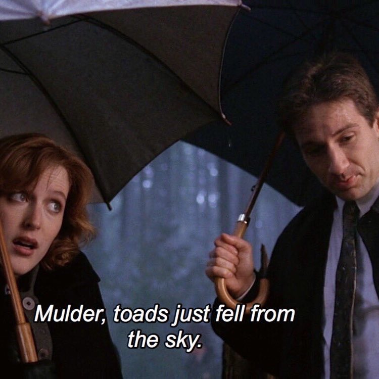 scullyxf's tweet photo. https://t.co/n5RBTbTrPD