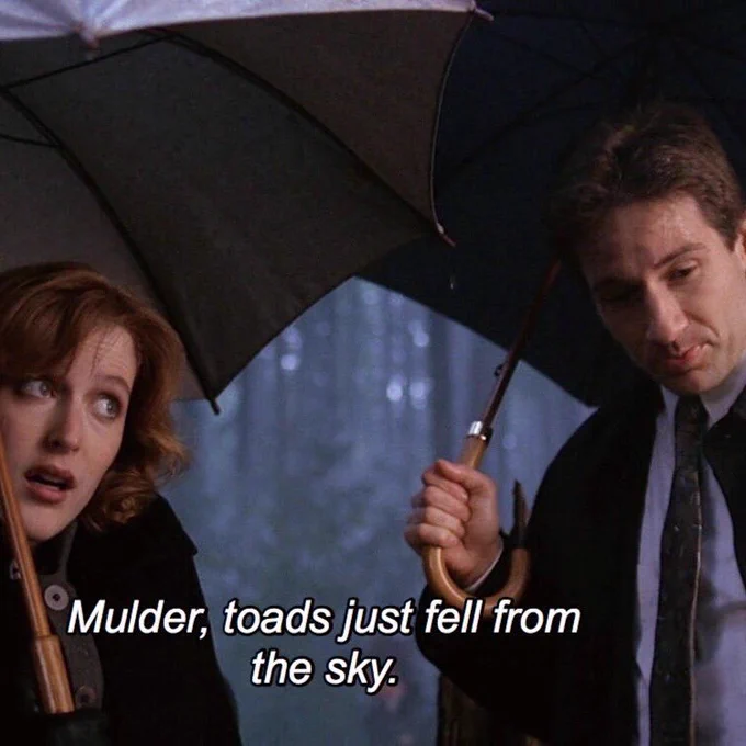 Image from the x files ! (@scullyxf)