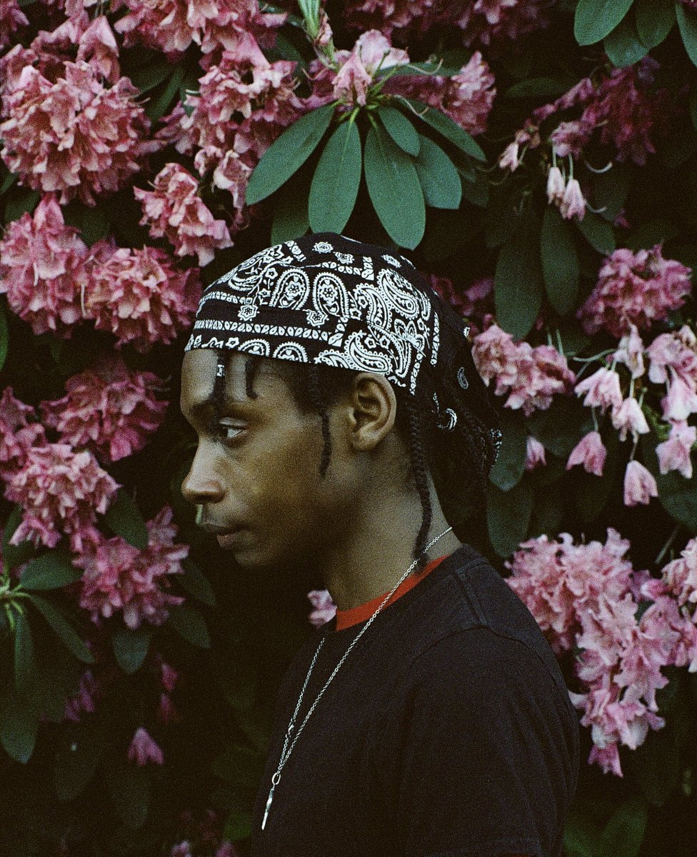 ᴴ||ᴳᴴᴮᴿ||ᴰ🧛🏻 tweet media