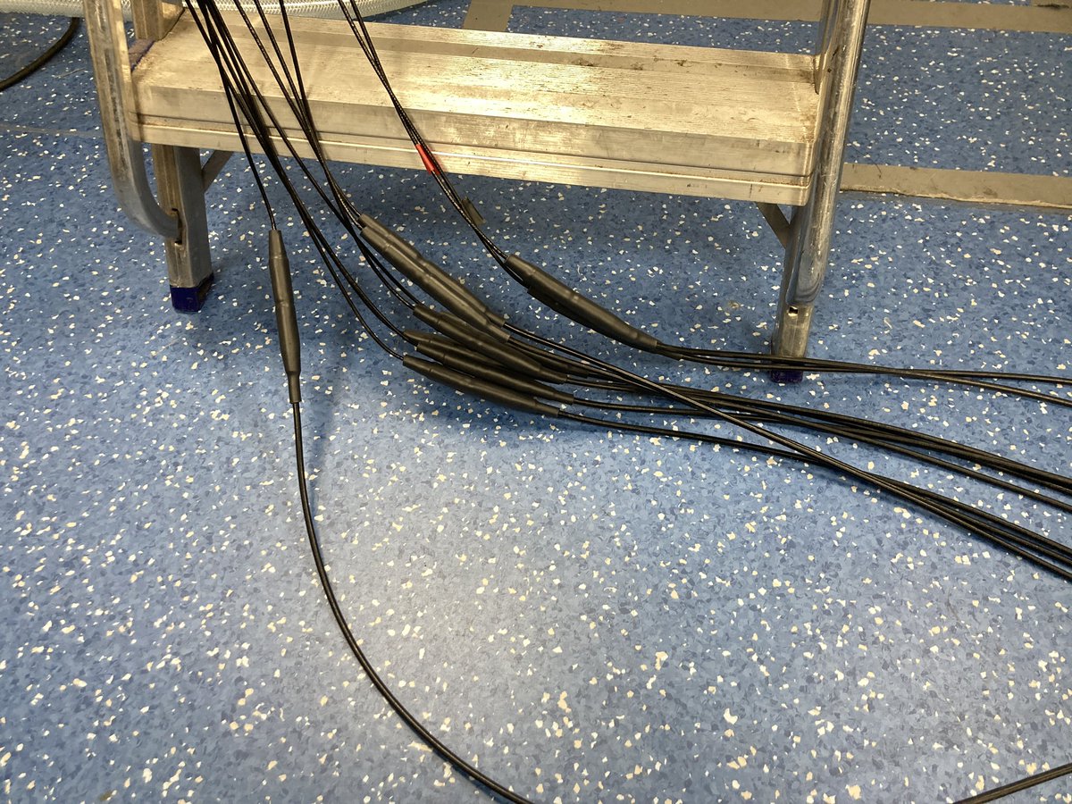 Teppei Katori (香取哲平) tweet media