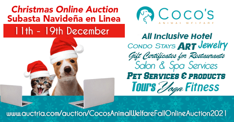 Coco's Christmas Online Auction🎄 - Subasta de Navidad☃️ - mailchi.mp/7bb5ccaaeb2d/c…
