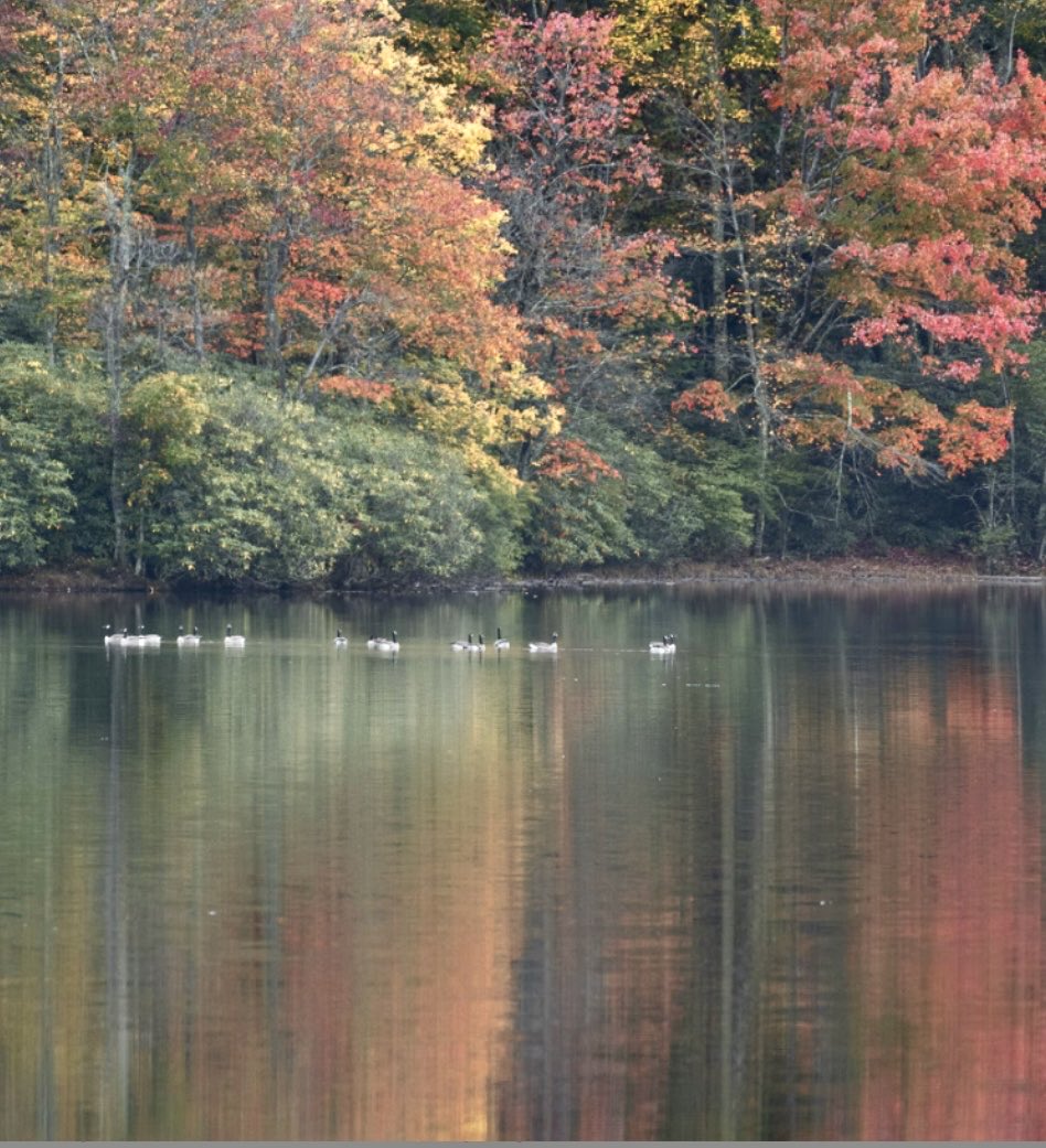 JeaneFahrlander's tweet photo. Good evening🍂💛 https://t.co/avutQiSpqm