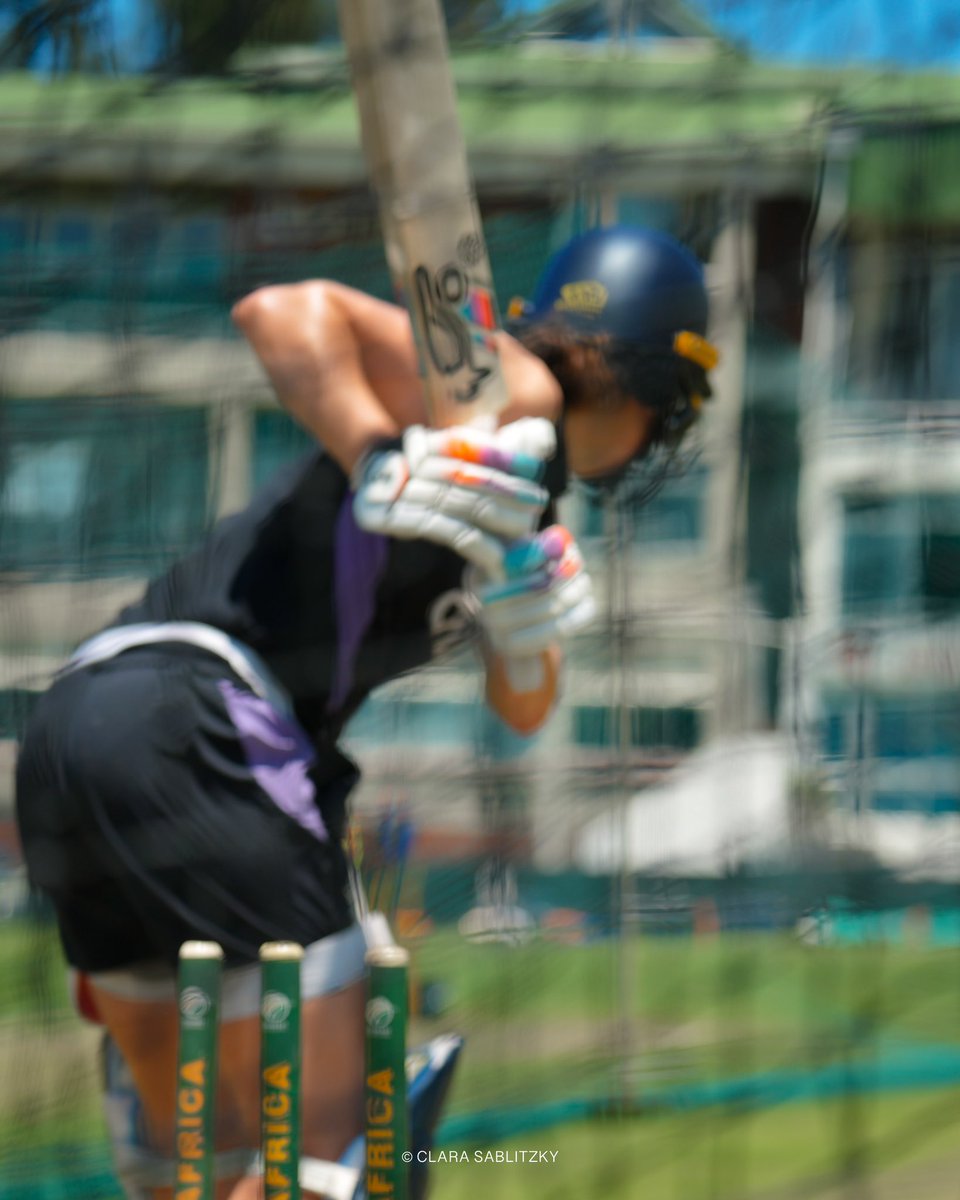 sport but make it art: NSB in the nets
