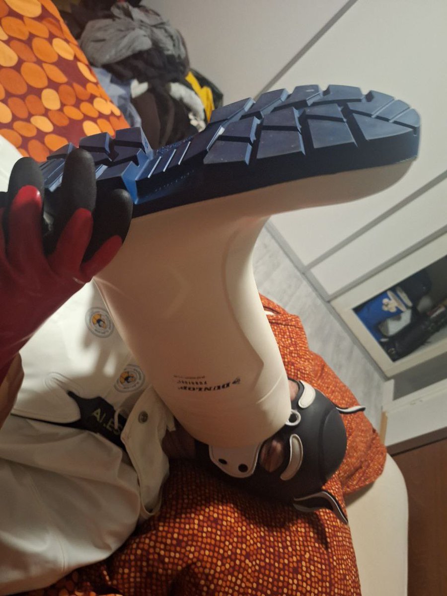 Had some fun with the handler🐶😈🐕