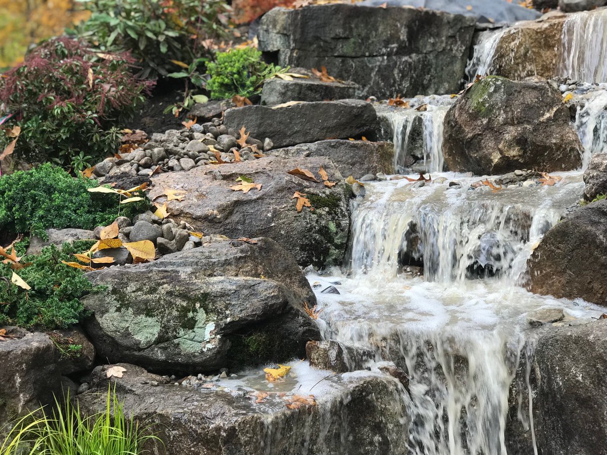 GardenStateKoi's tweet image. Want a water feature that blends seamlessly with your landscape? Look no further! Our team of experts can create a waterfall that feels like it’s always been there. #WaterfallBuild #BackyardWaterfall