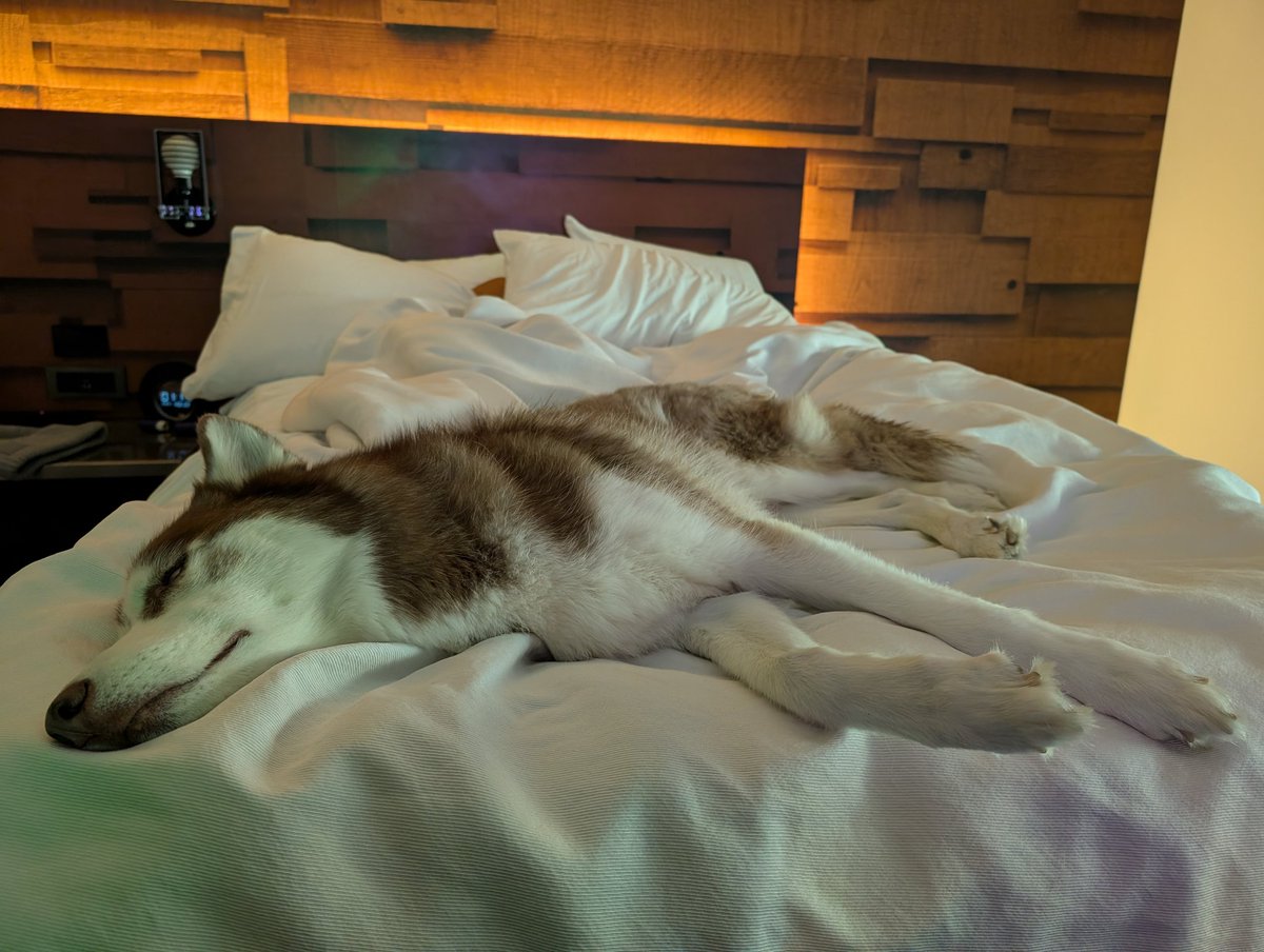 I think he's adjusting just fine :3