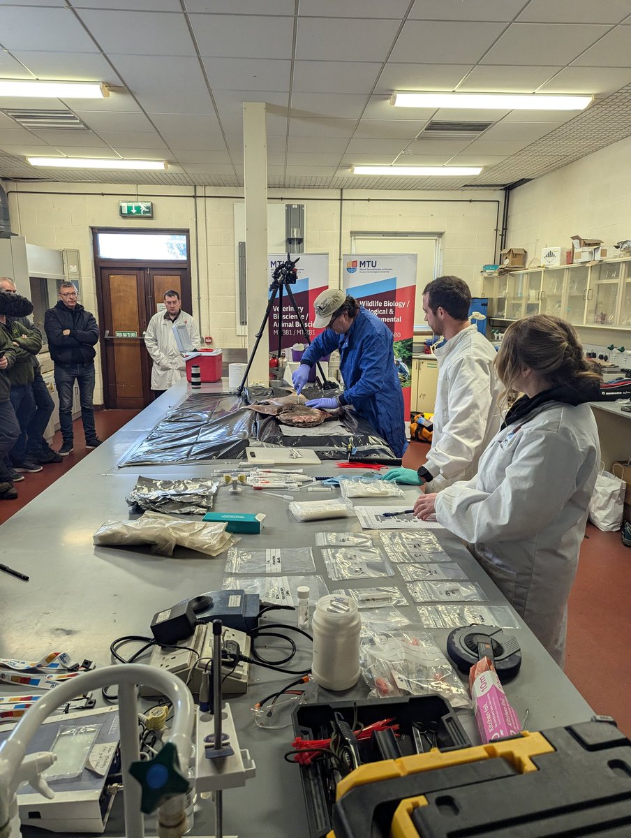 Kilian Kelly tweet media