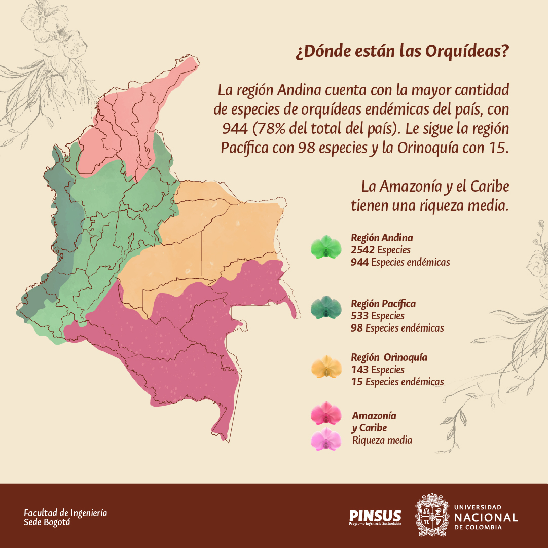 PinsusFIUN's tweet photo. Hoy, en el Día Nacional de la Orquídea, te traemos algunos datos curiosos sobre nuestra flor nacional🌎🦎🐳🦋🌴 #PINSUS #orquidea #Biodiversidad #Sostenibilidad https://t.co/3luJ79xDmO