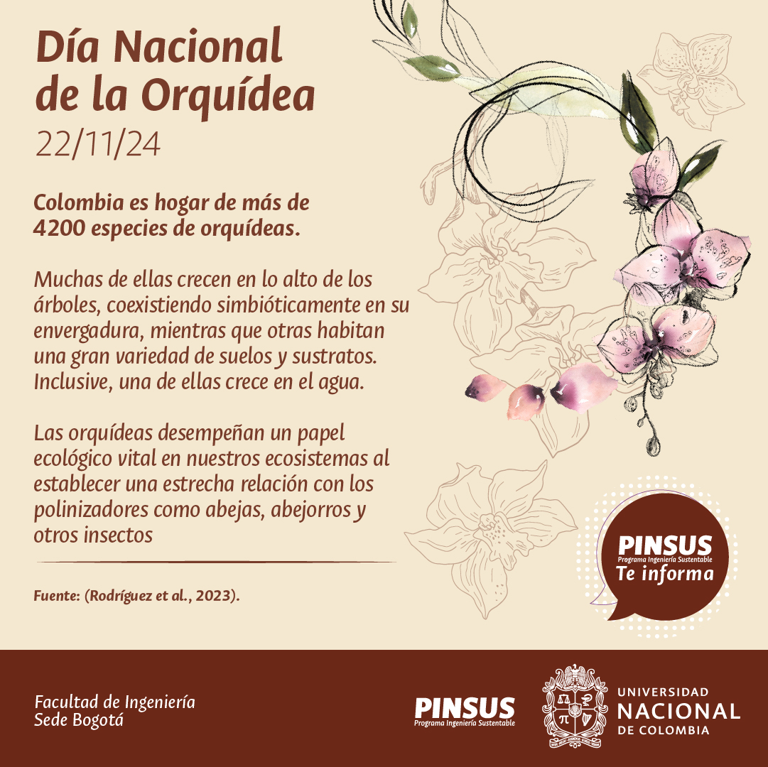 PinsusFIUN's tweet photo. Hoy, en el Día Nacional de la Orquídea, te traemos algunos datos curiosos sobre nuestra flor nacional🌎🦎🐳🦋🌴 #PINSUS #orquidea #Biodiversidad #Sostenibilidad https://t.co/3luJ79xDmO