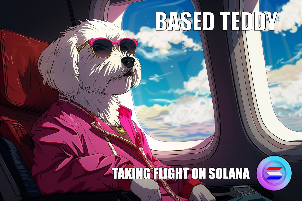 RealBasedTeddy tweet picture