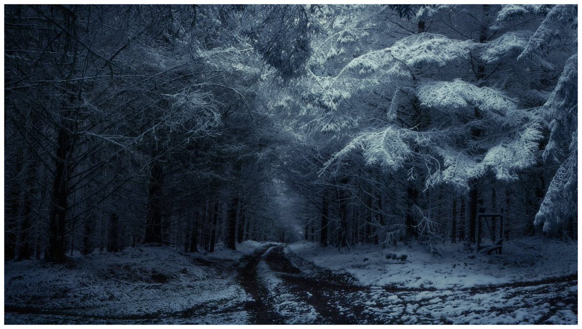 Winterrise. South Shropshire
