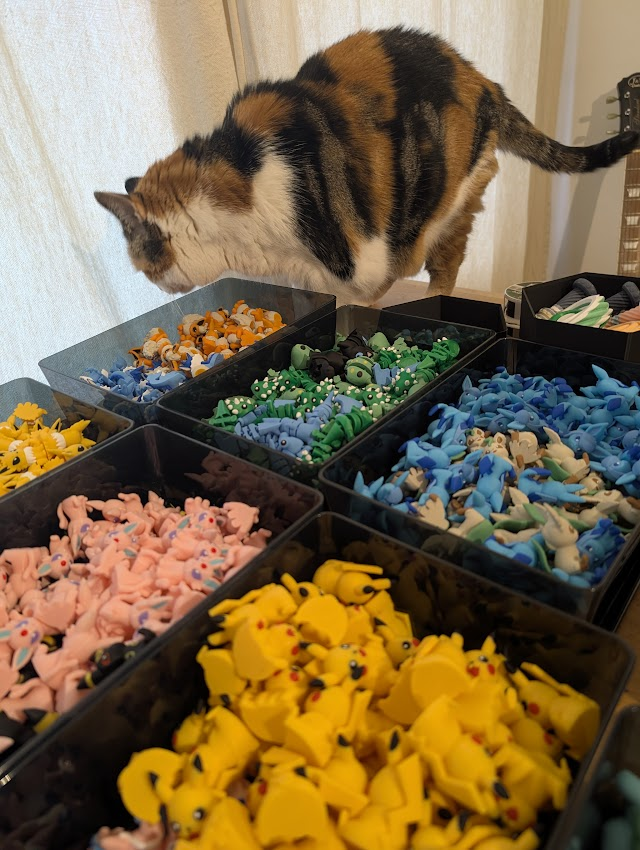 Ralfprints's tweet photo. Niet Luca die alles even inspecteert. Wat houd ik toch van mijn manager. #smallbusinessowner #Pokemon #Cat https://t.co/IUXzAPd3eb