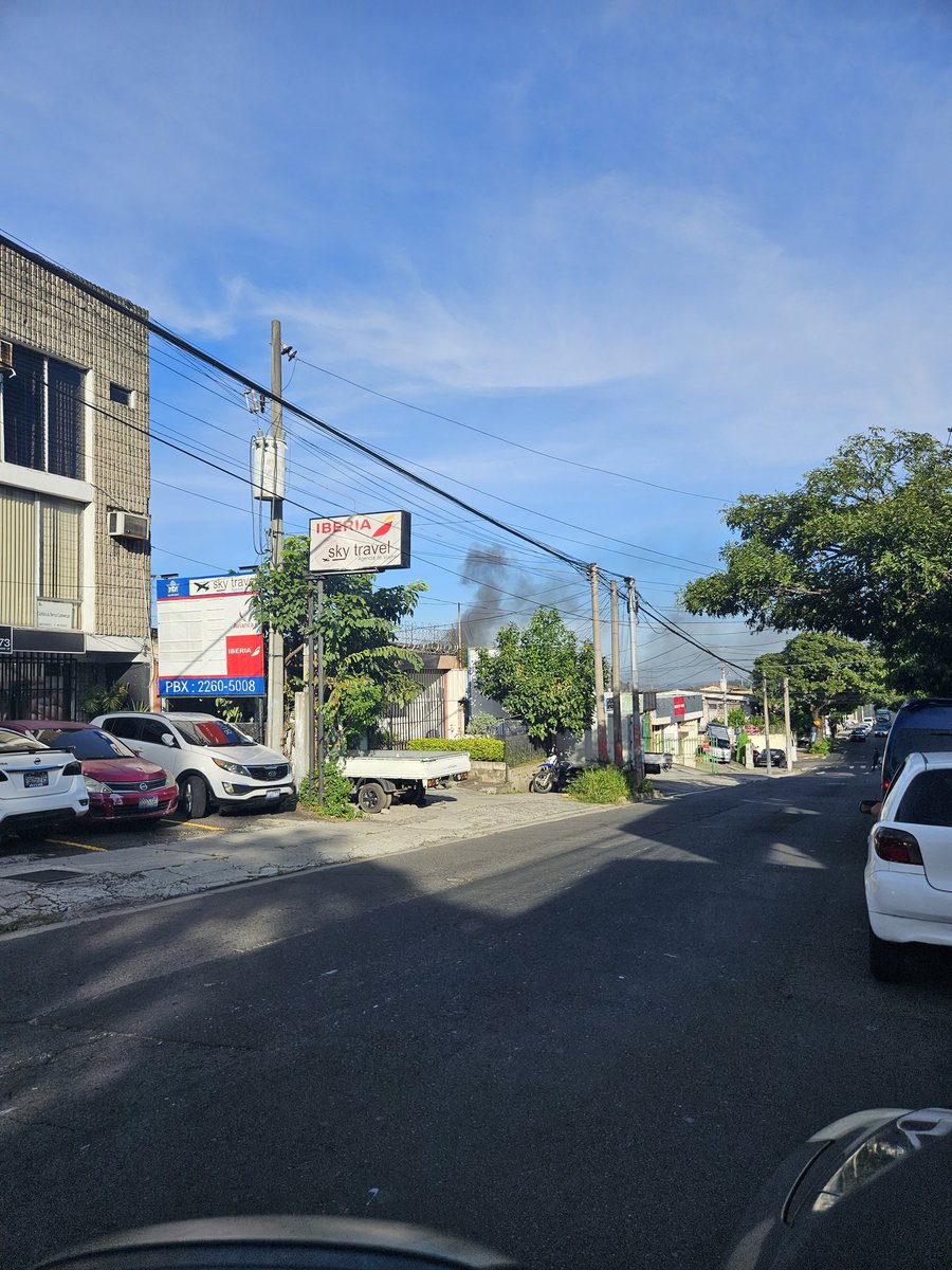 Ximena Robin tweet media