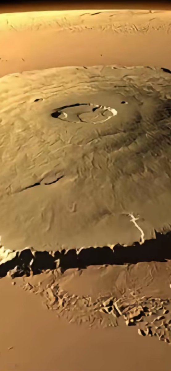 Will Gill tweet media