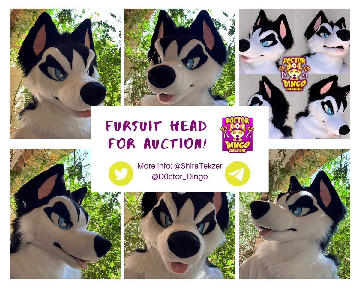 D0ctor_Dingo's tweet image. Hello everyone! We have a new auction open on the dealers den! It’s a very bad dog🔥! Please check it out and message us if you’re interested🐾
Rts are appreciated❤️
thedealersden.com/listing/grumpy…