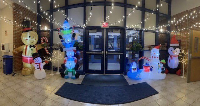 Kristen Dalton tweet media