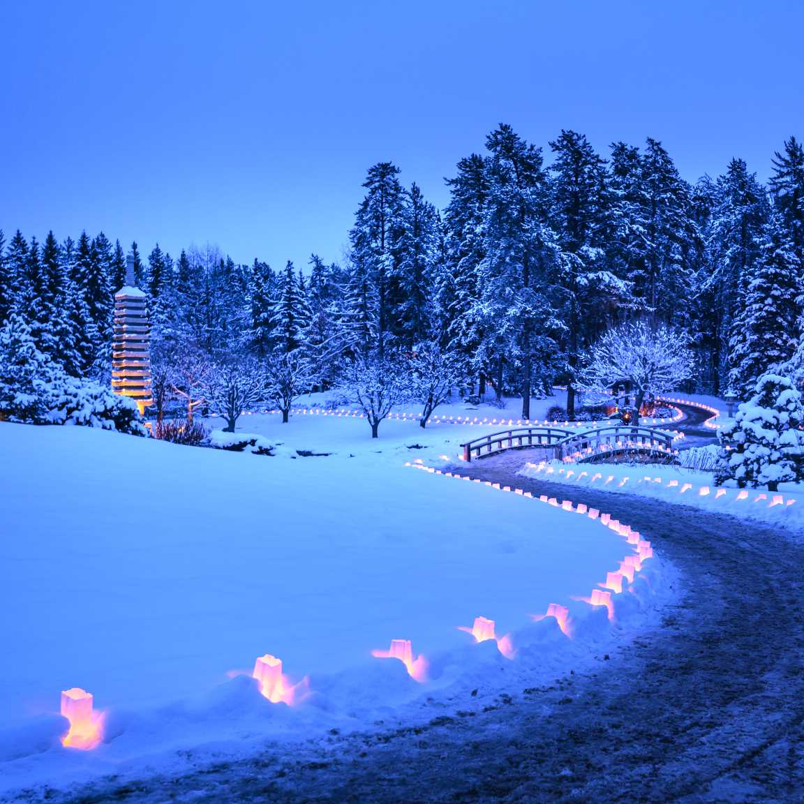 After a 1-year hiatus, we're excited to see that Luminaria at the <a href="/UABotanicGarden/">UofA Botanic Garden</a> is back!!! We're also pleased to announce we'll be back singing in the gardens on December 21, 22, 27, 28, and 29.