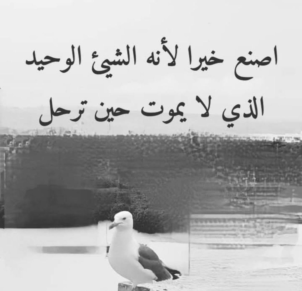 MgGamelah's tweet photo. https://t.co/mtcaBNTEod