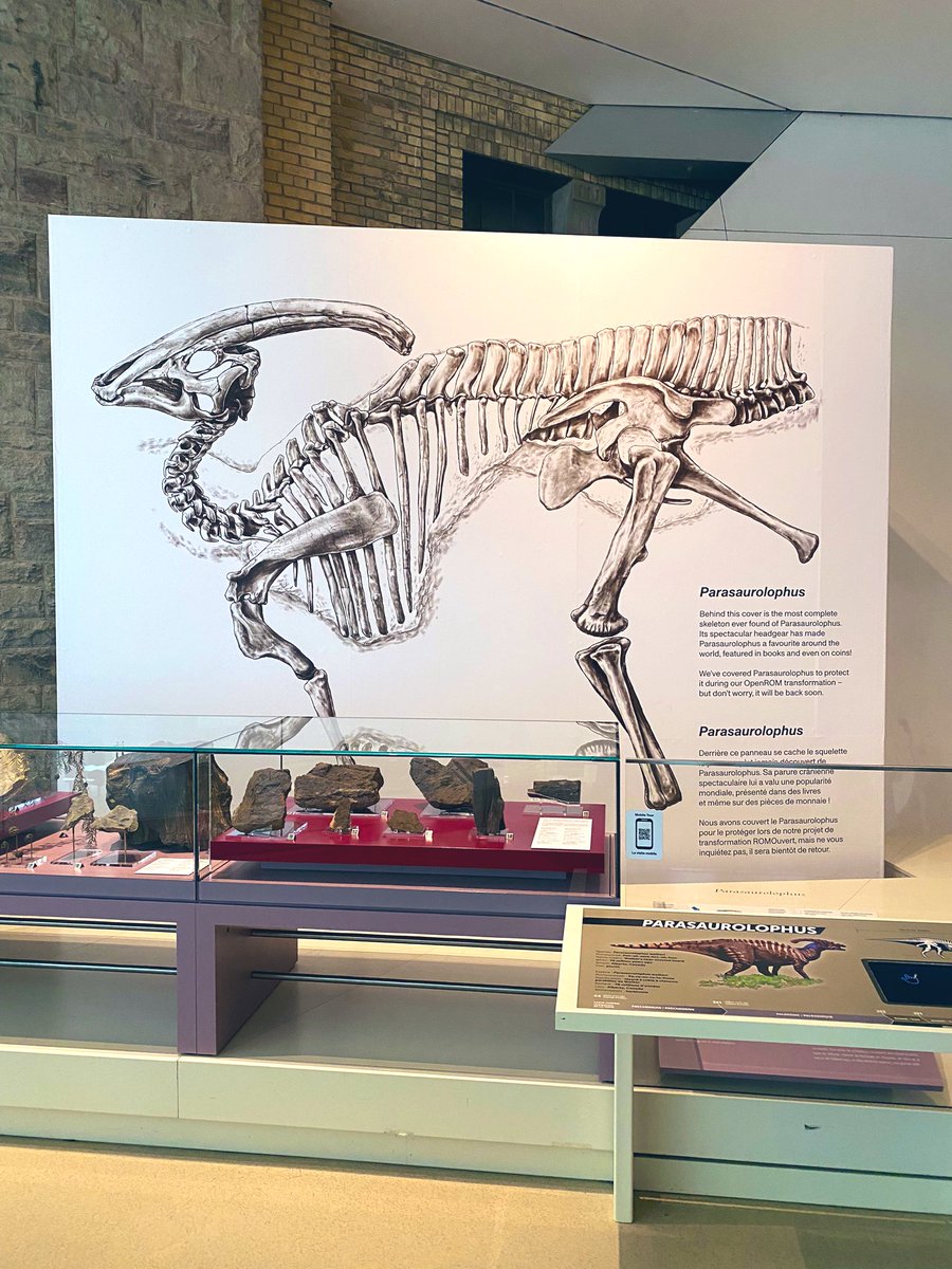 David Evans (@davidevans_rom) on Twitter photo Some AMAZING #Parasaurolophus art <a href="/ROMtoronto/">Royal Ontario Museum</a> for #FossilFriday. Our beloved Para needed to be stabilized due to ongoing renovations, so <a href="/MesozoicMuse/">Danielle Dufault</a> drew the life-sized skeleton to go on the shroud in the gallery. It’s sooo cool. I may get this tattooed on my entire back… Some AMAZING #Parasaurolophus art <a href="/ROMtoronto/">Royal Ontario Museum</a> for #FossilFriday. Our beloved Para needed to be stabilized due to ongoing renovations, so <a href="/MesozoicMuse/">Danielle Dufault</a> drew the life-sized skeleton to go on the shroud in the gallery. It’s sooo cool. I may get this tattooed on my entire back…