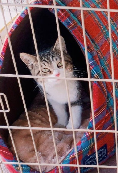 kazu✨ (@kazu0729f) / Posts / X