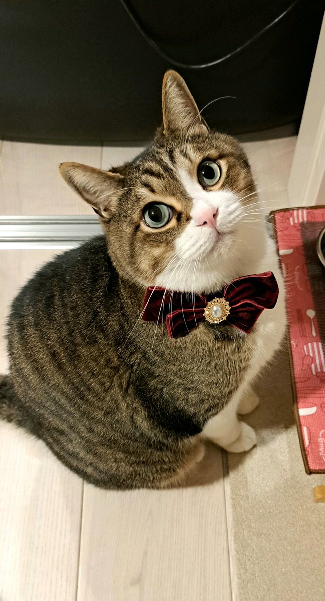 kazu✨ (@kazu0729f) / Posts / X