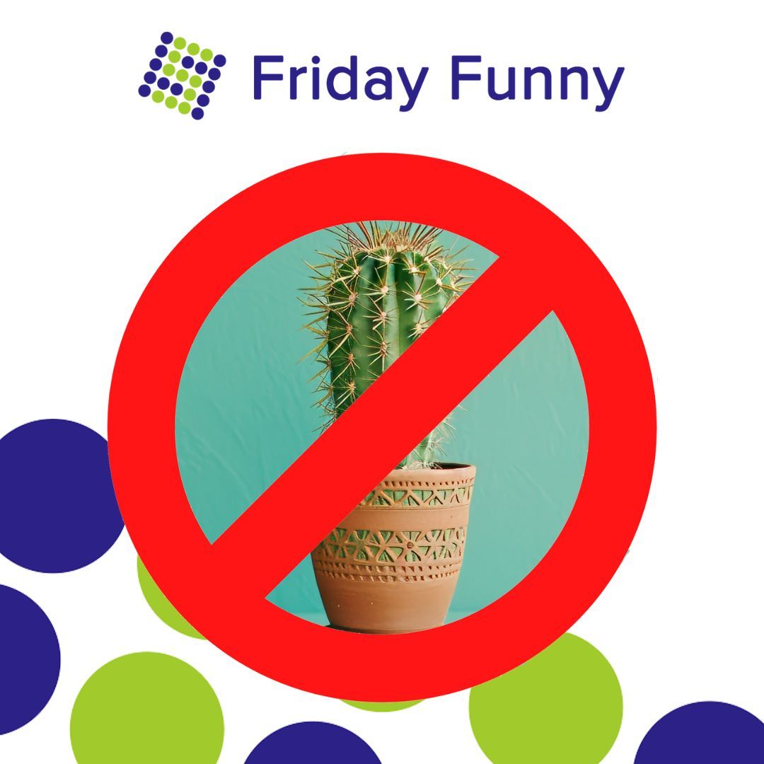 🌵🚫 In Plettenberg, Germany, cacti have been banned from municipal buildings after an incident where an adult was injured by one at a school. Mayor Ulrich Schulte emphasised the need to protect children’s safety.

What do you think to that?! 🤔 #CactusBan #SafetyFirst 🌵